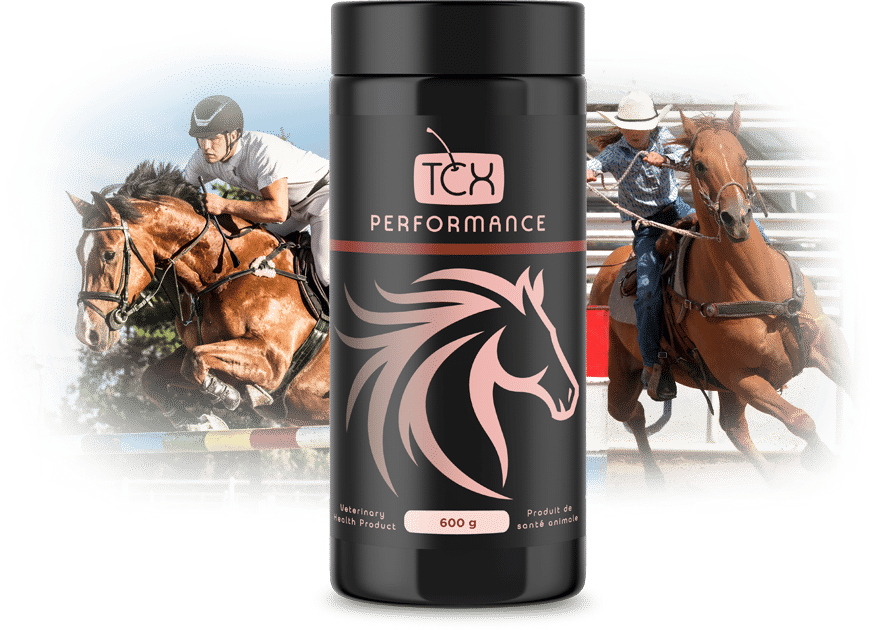 TCX Performance Supplements